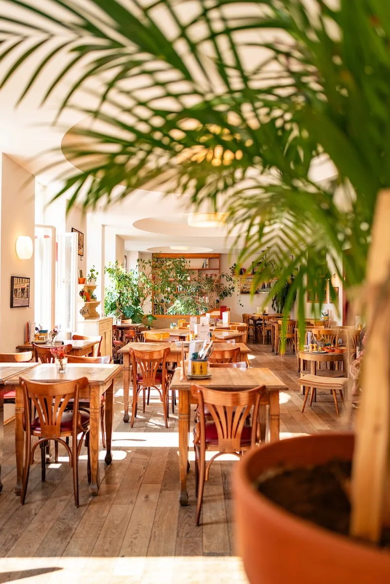 Innenraum mit Palme und Thonet-Stühlen